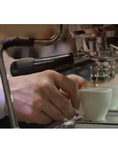 KURZ latte art basic celodenní  2